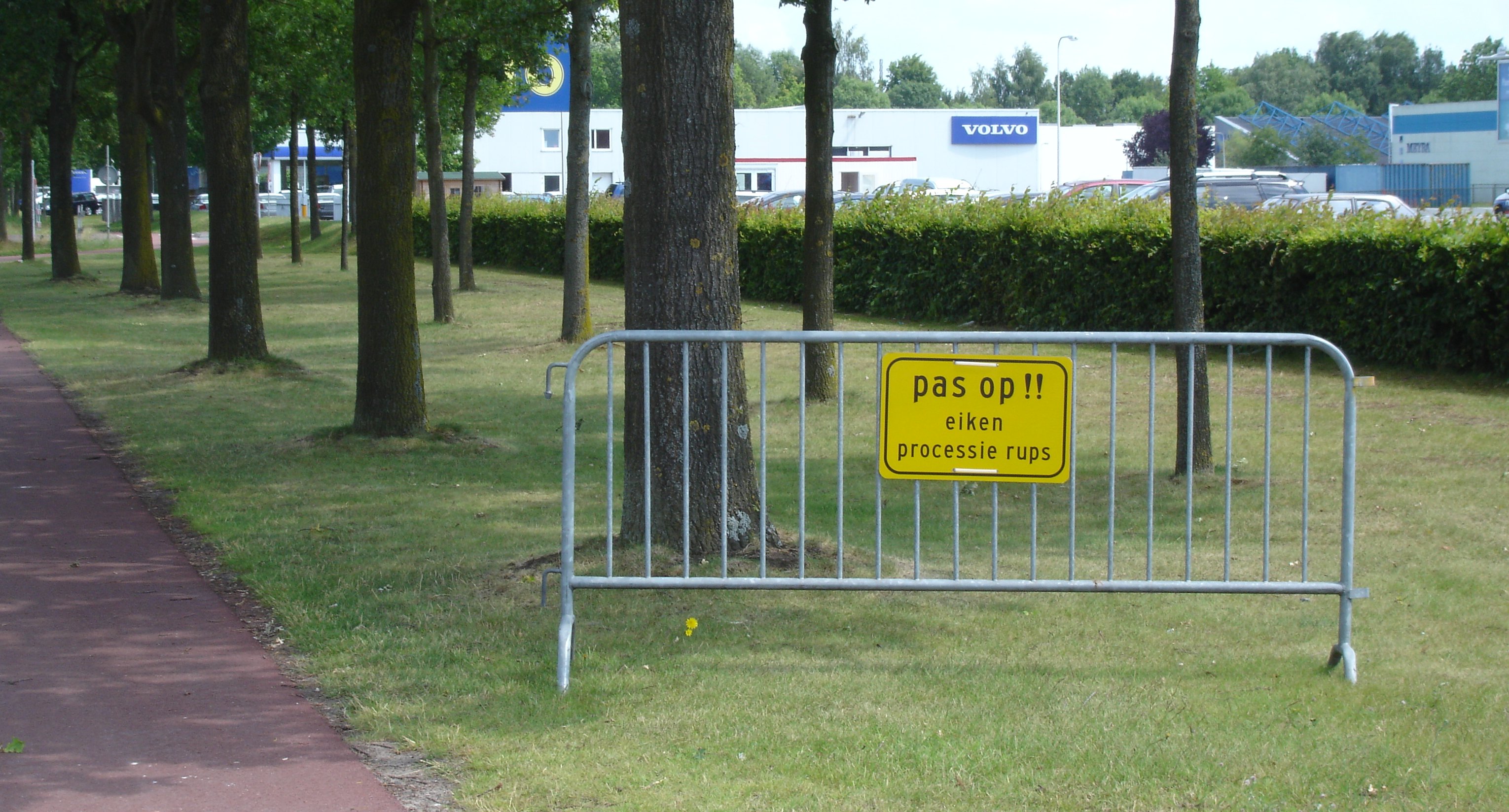 Panneau d'avertissement et barrière installés au pied d'un chêne infesté de chenilles processionnaires