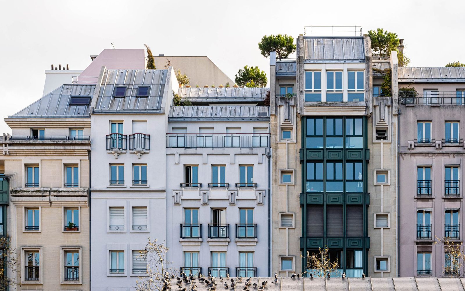 Façades d'immeubles d'habitation parisiens avec balcons et fenêtres, pigeons posés sur un toit au premier plan